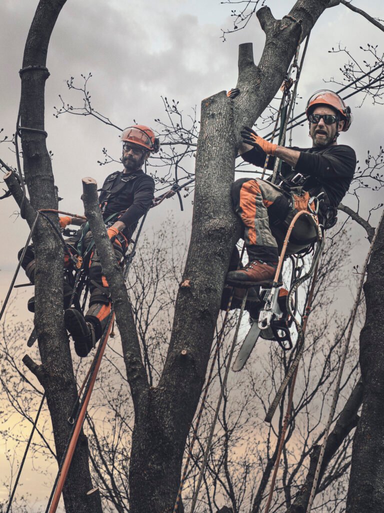 Baumpflege Team Borken Über Uns